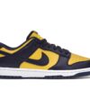 Nike Dunk Low Michigan (2021)